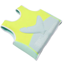 Load image into Gallery viewer, Swim Vest Size 2-3