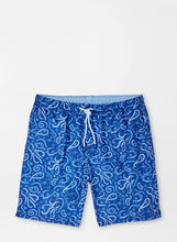 Load image into Gallery viewer, Tie Dive Swim Trunk